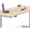 Slim Υ Ροτόντα με Γυαλί πάχους 12mm (Ύψος 730mm)