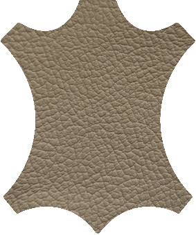 G5C4