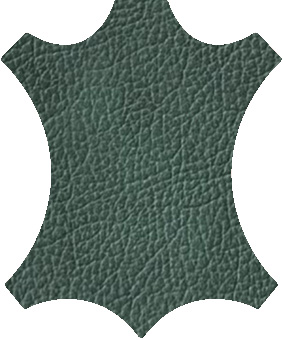 G5C5